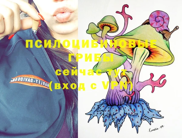 гашиш Абаза