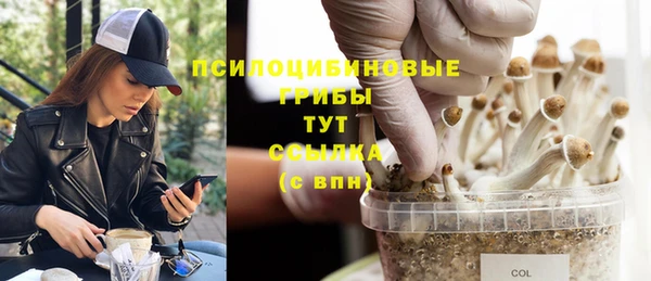 гашиш Абаза