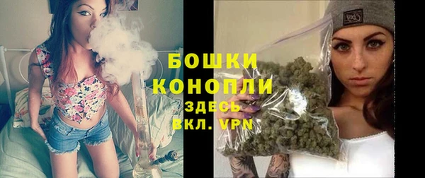 гидра Дмитриев