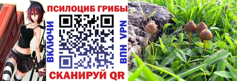 Галлюциногенные грибы ЛСД  наркотики  Серпухов 