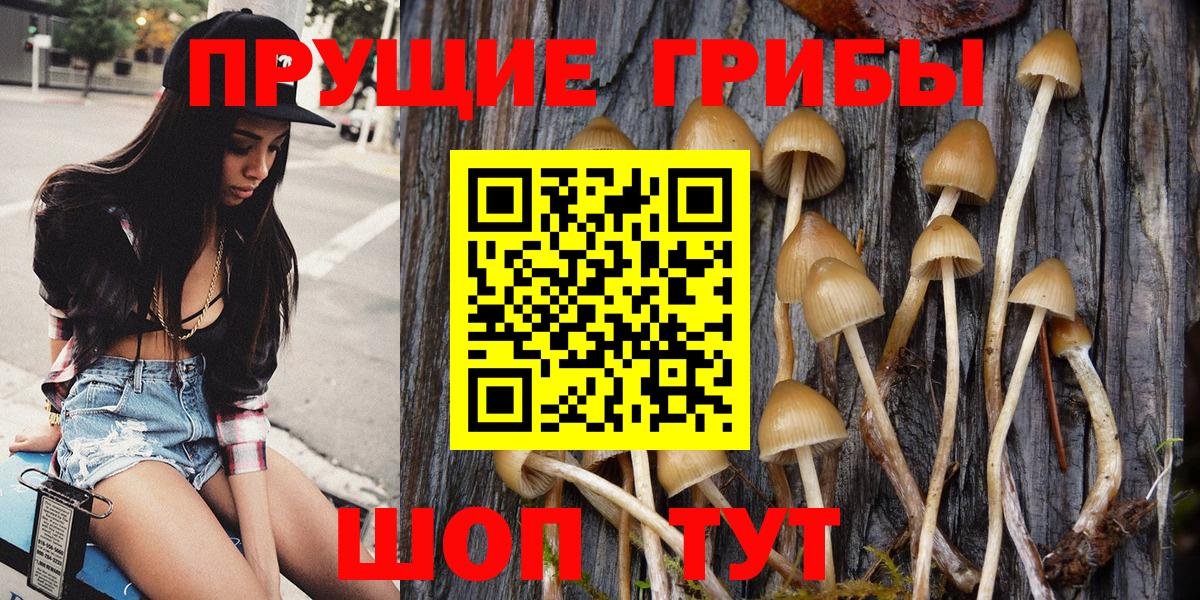 Галлюциногенные грибы MAGIC MUSHROOMS  Вход с VPN  Галлюциногенные грибы мицелий  Серпухов 